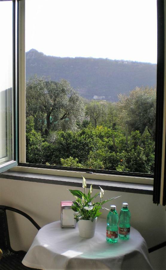 Itaca B&B Piano di Sorrento Exterior photo
