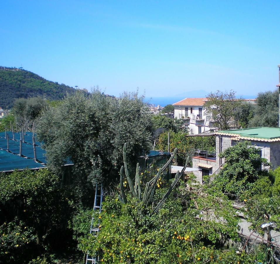 Itaca B&B Piano di Sorrento Exterior photo